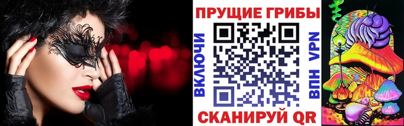 Галлюциногенные грибы мицелий где продают наркотики Среднеколымск